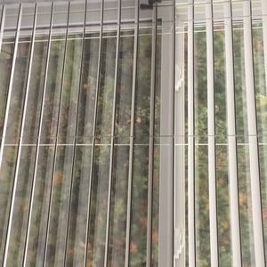 Meet your Posher, Dalys